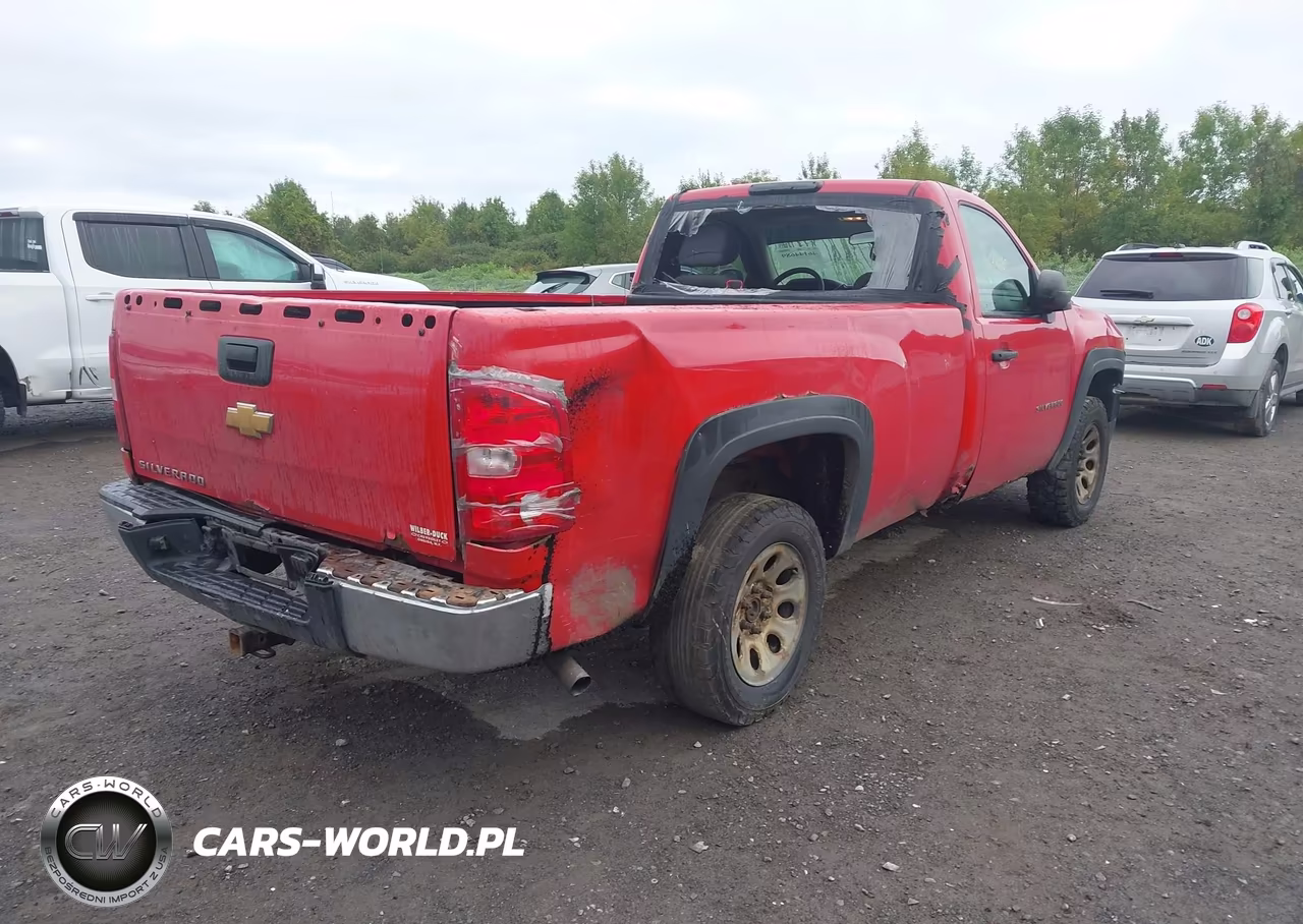 2013 Chevrolet Silverado 1500 Work Truck VIN:1GCNCPEX9DZ396751 - 4