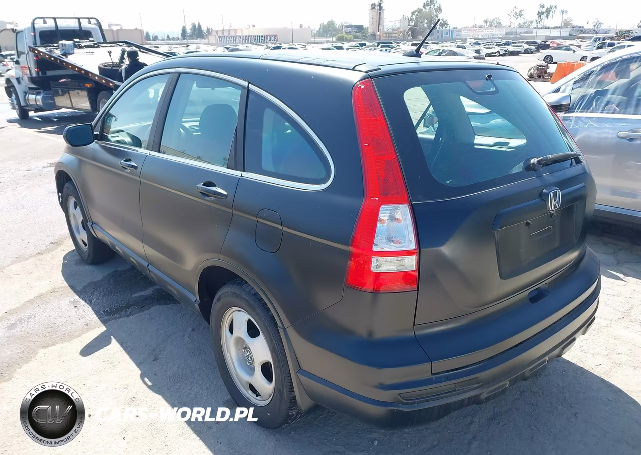 2010 Honda Cr-V Lx VIN:5J6RE3H37AL017347 - 3
