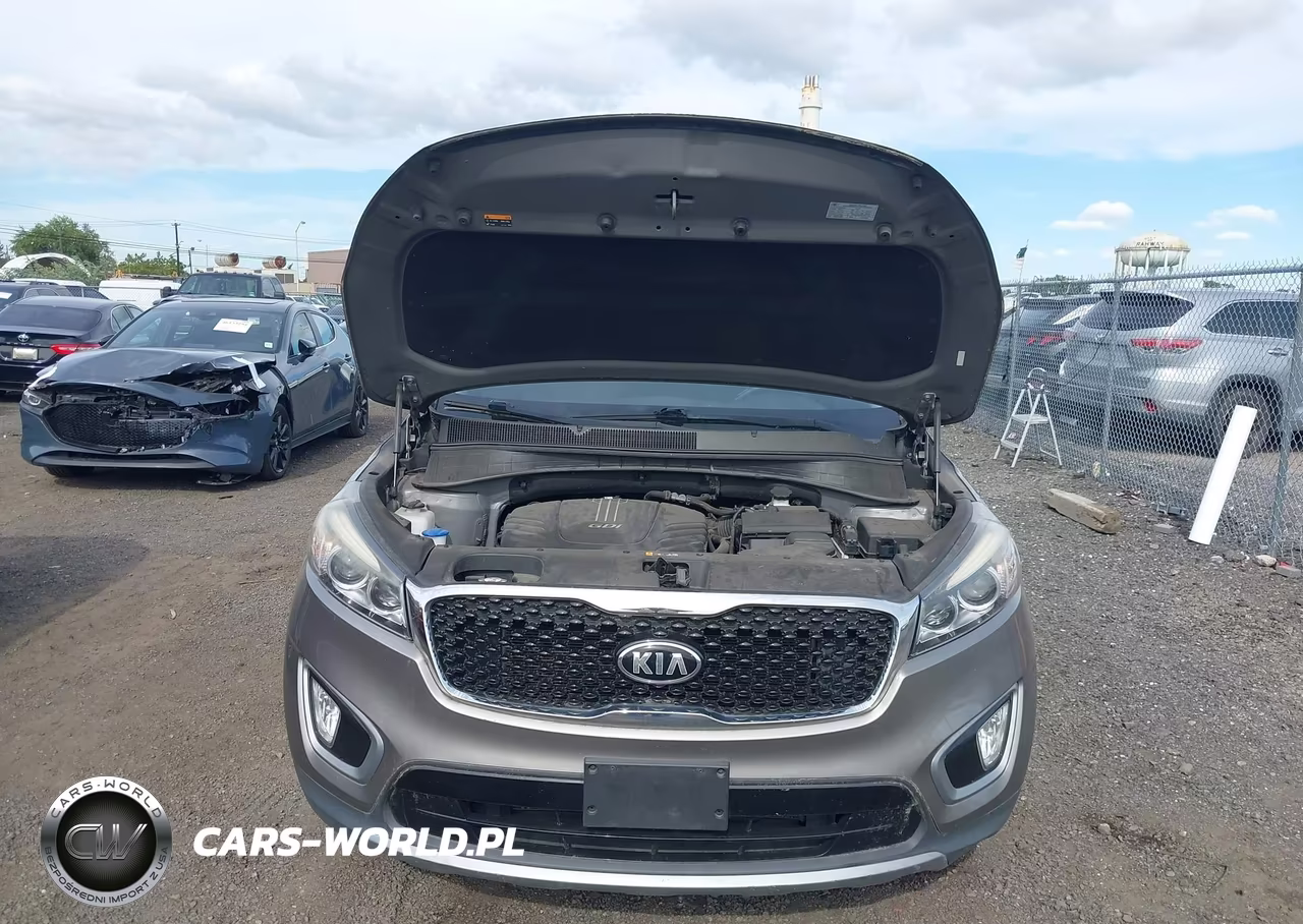 2016 Kia Sorento 3.3L Ex VIN:5XYPH4A51GG176875 - 10
