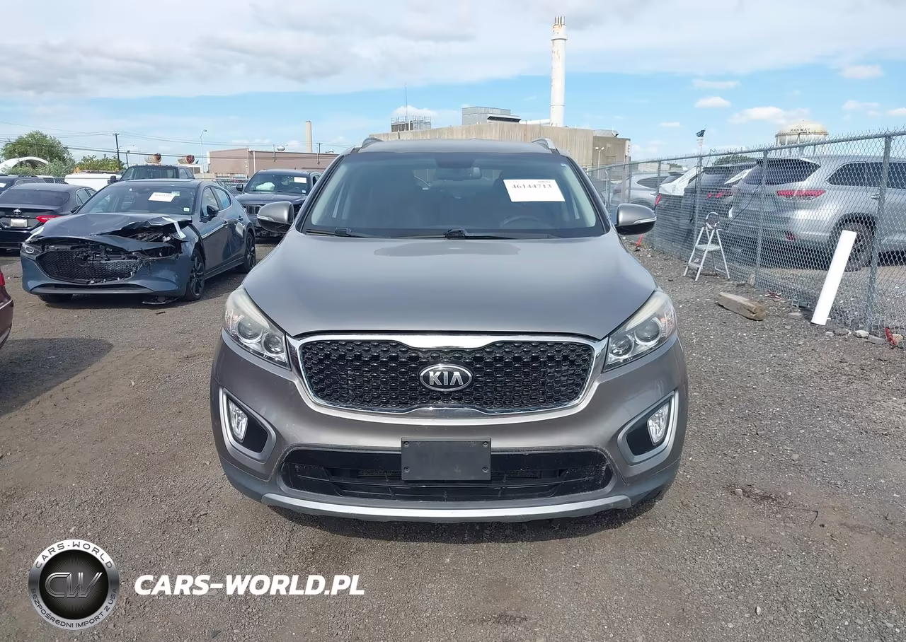2016 Kia Sorento 3.3L Ex VIN:5XYPH4A51GG176875 - 12