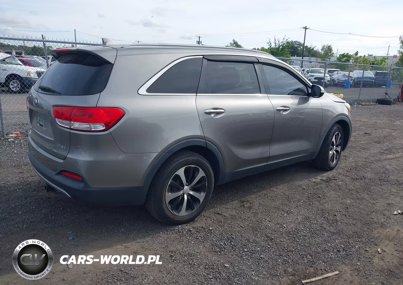 2016 Kia Sorento 3.3L Ex VIN:5XYPH4A51GG176875 - 4