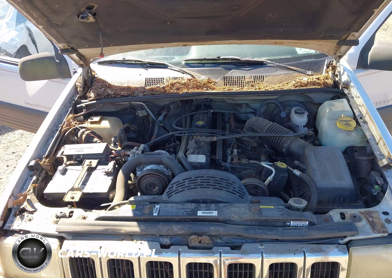 1996 Jeep Grand Cherokee Laredo VIN:1J4EZ58S6TC118498 - 10