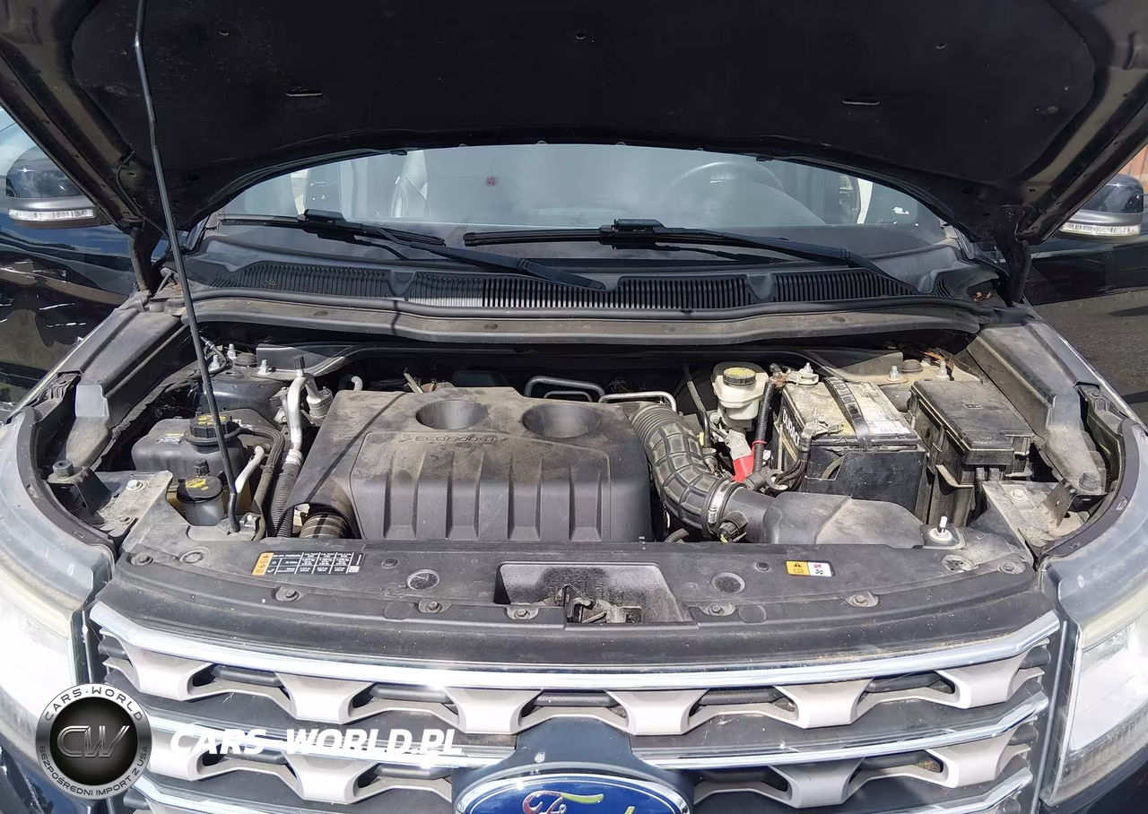 2016 Ford Explorer Xlt VIN:1FM5K8DH7GGB92674 - 10