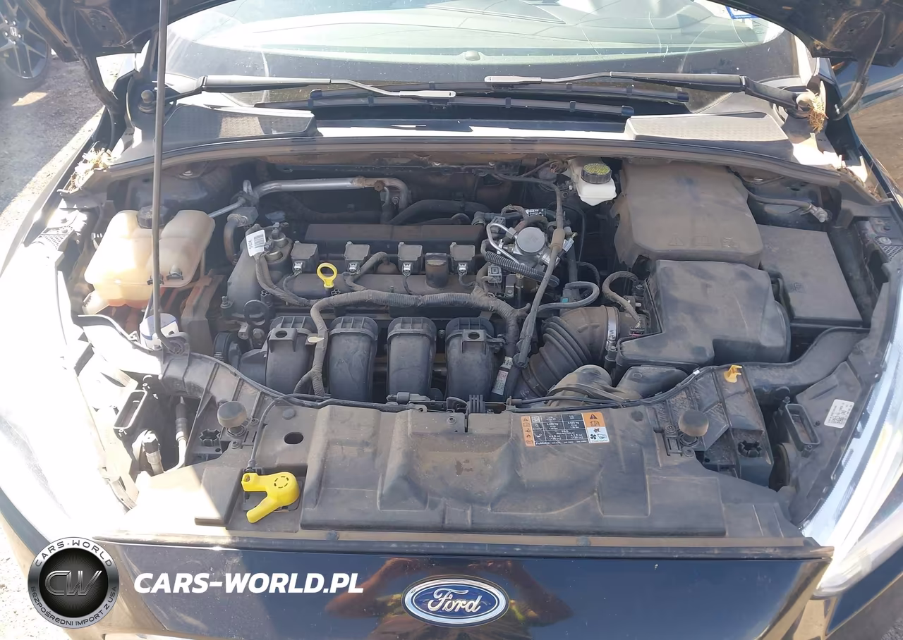 2017 Ford Focus Titanium VIN:1FADP3J22HL238656 - 10
