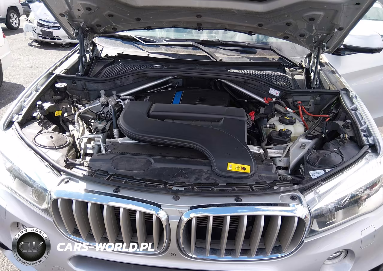 2017 BMW X5 Edrive xDrive40E Iperformance VIN:5UXKT0C30H0V96761 - 10