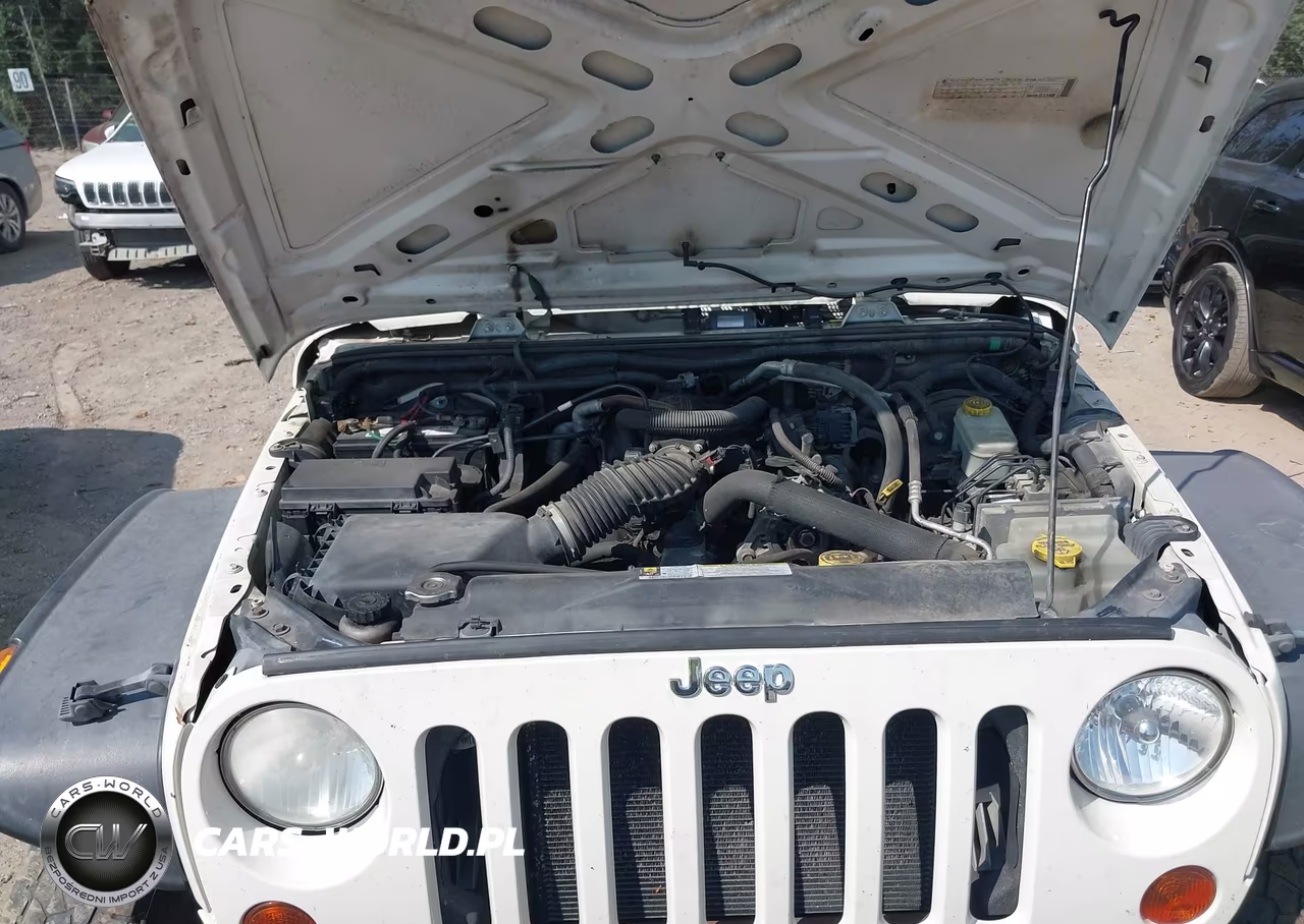 2010 Jeep Wrangler Rubicon VIN:1J4BA6D13AL211540 - 10