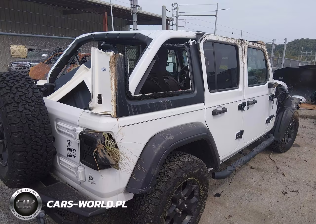 2020 Jeep Wrangler Unlimited Willys 4X4 VIN:1C4HJXDG0LW206565 - 4