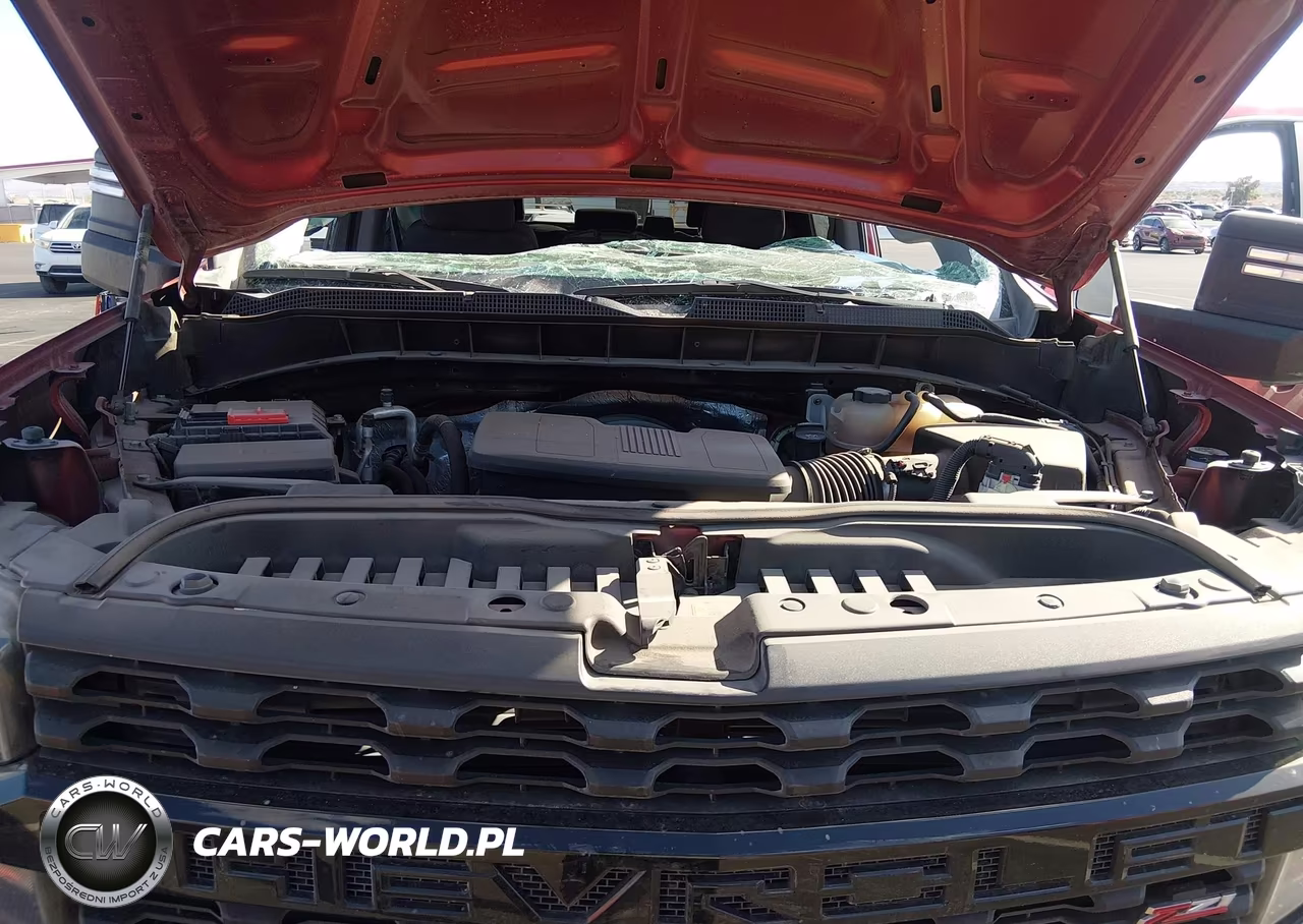2021 Chevrolet Silverado 1500 Custom Trail Boss VIN:3GCPYCELXMG123866 - 10