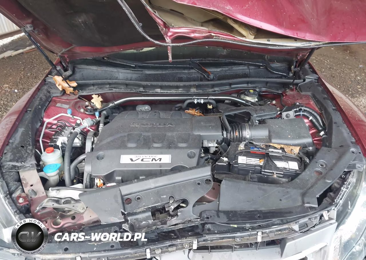 2010 Honda Accord Crosstour Ex-L VIN:5J6TF1H57AL011721 - 10