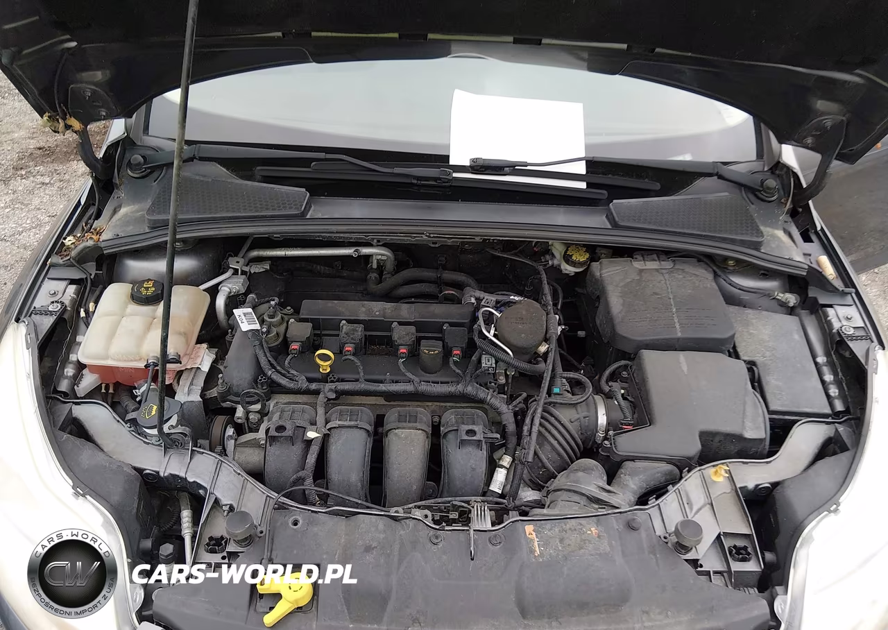 2014 Ford Focus Se VIN:1FADP3K21EL463550 - 10
