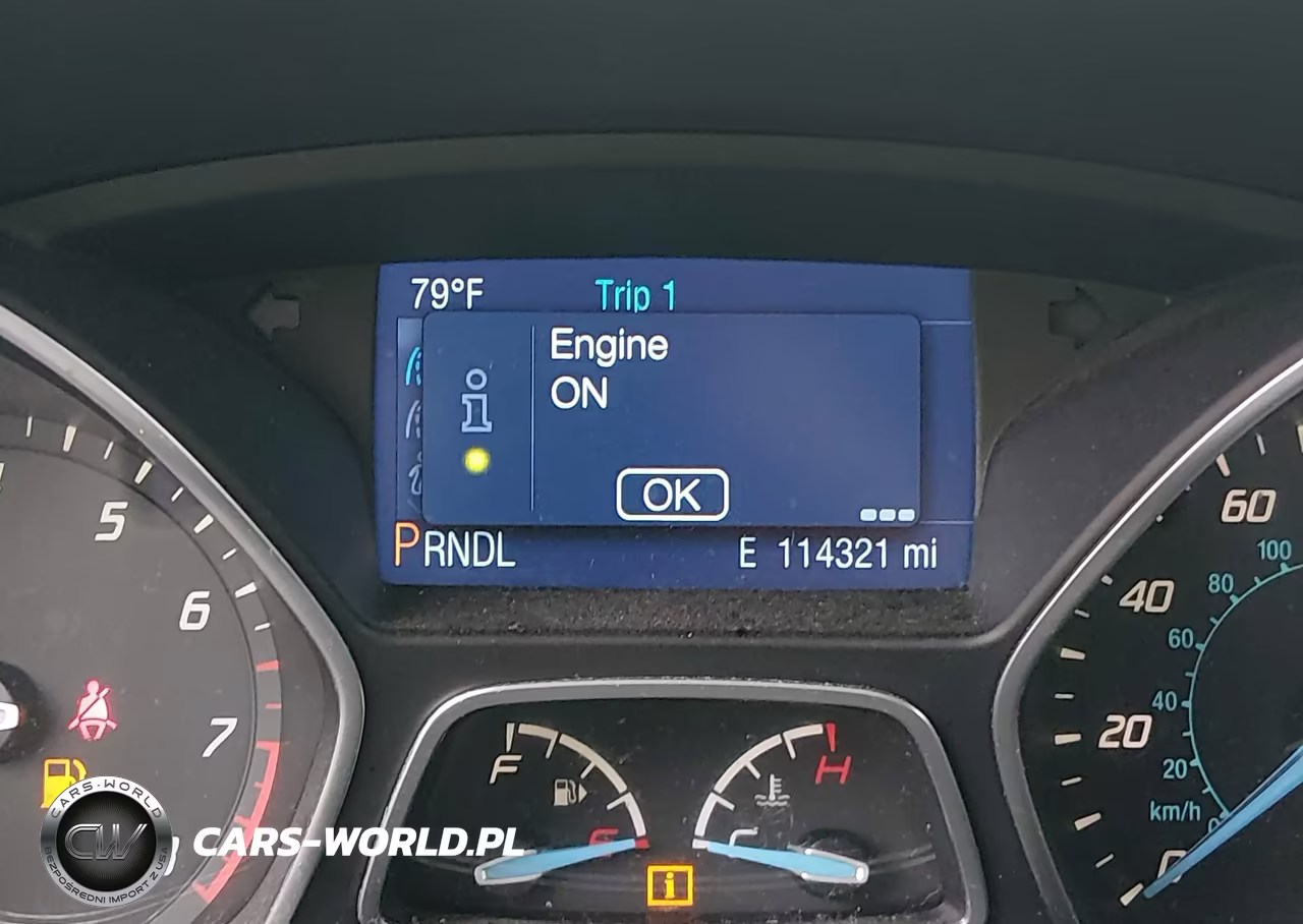 2014 Ford Focus Se VIN:1FADP3K21EL463550 - 15