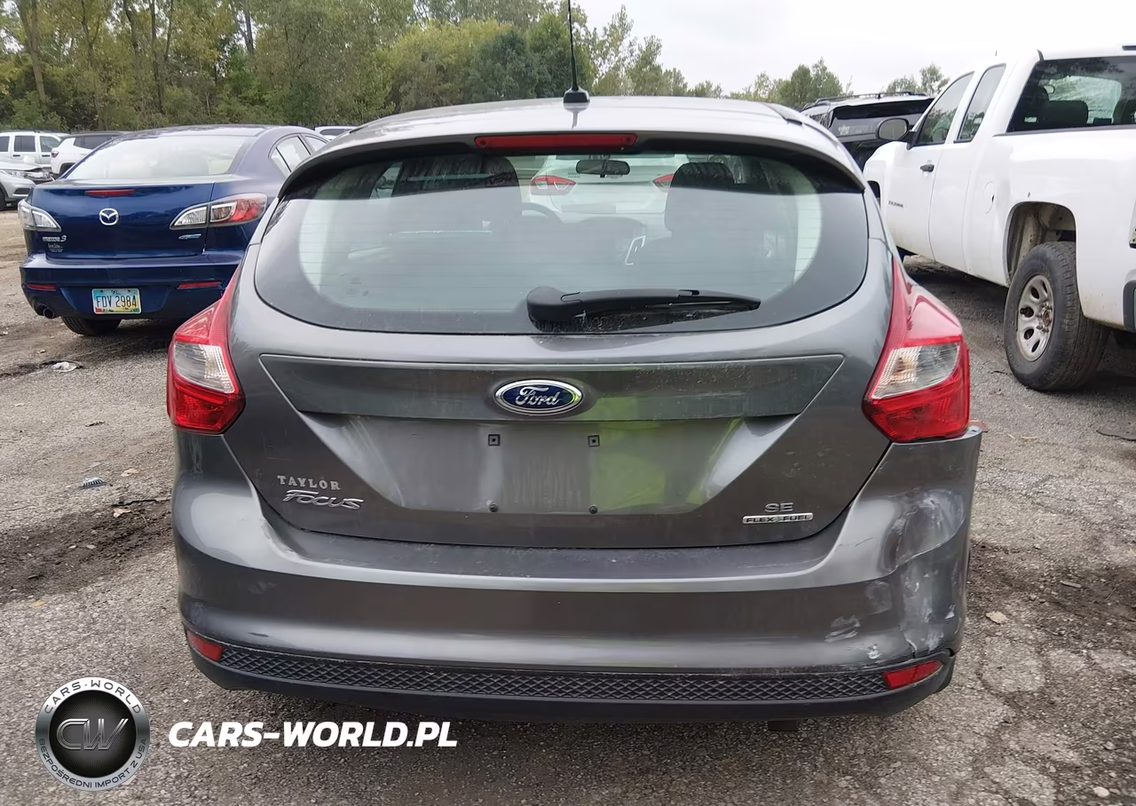 2014 Ford Focus Se VIN:1FADP3K21EL463550 - 16