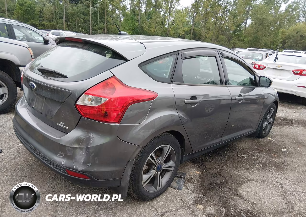 2014 Ford Focus Se VIN:1FADP3K21EL463550 - 4