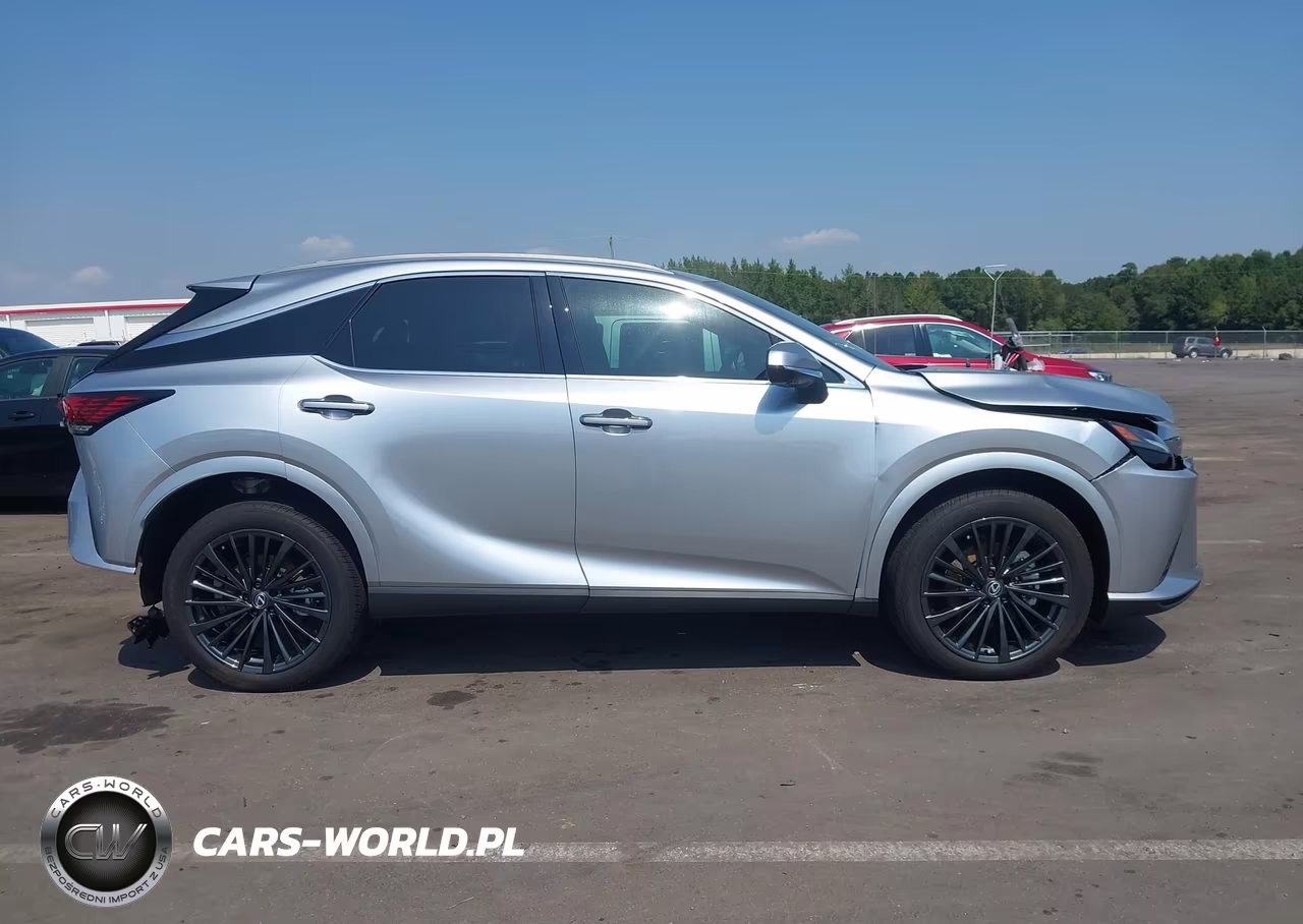 2025 Lexus Rx 350H Premium VIN:2T2BBMCA0SC095050 - 13
