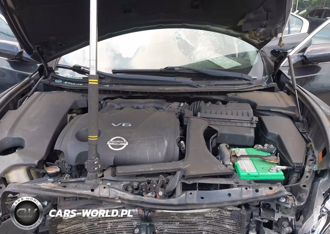 2014 Nissan Maxima 3.5 Sv VIN:1N4AA5AP1EC479521 - 10