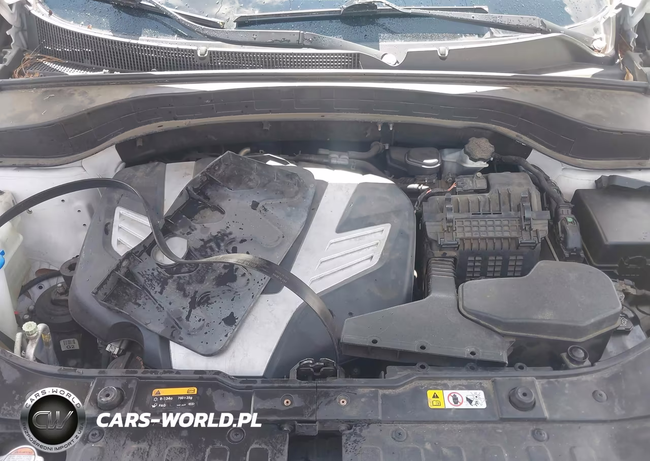 2014 Kia Sorento Sx VIN:5XYKW4A72EG432892 - 10