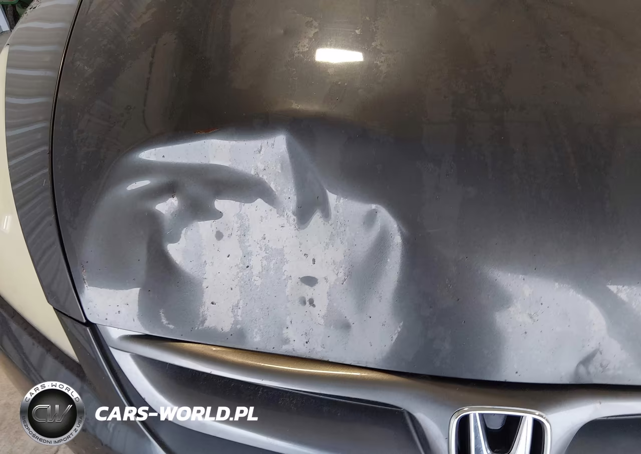 2006 Honda Accord 3.0 Ex VIN:1HGCM81666A002519 - 14