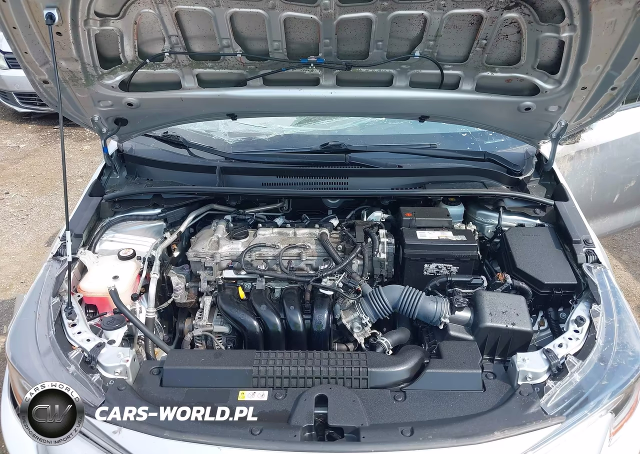 2020 Toyota Corolla Le VIN:JTDEPRAE6LJ091547 - 10