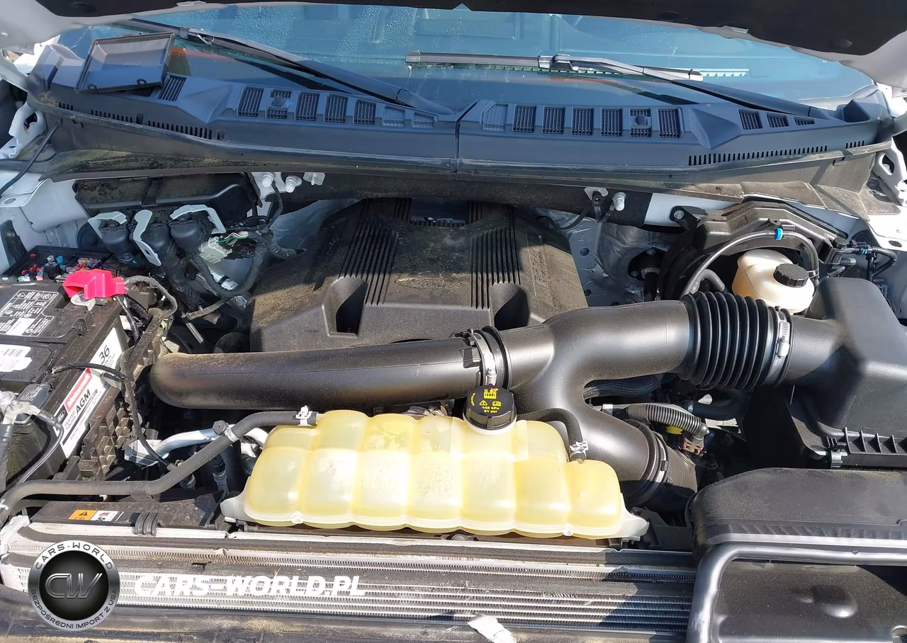 2020 Ford F-150 Platinum VIN:1FTEW1E47LFB98616 - 10