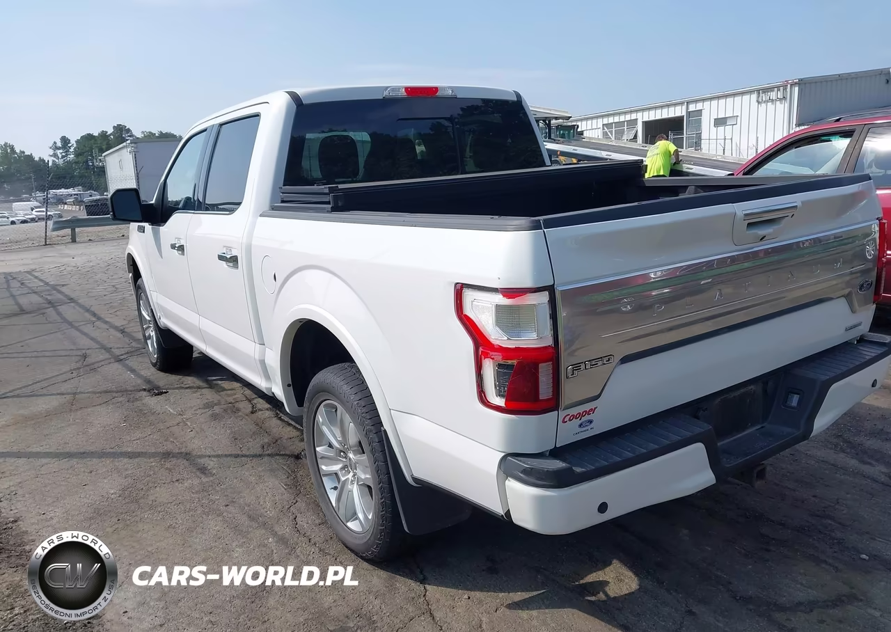 2020 Ford F-150 Platinum VIN:1FTEW1E47LFB98616 - 12