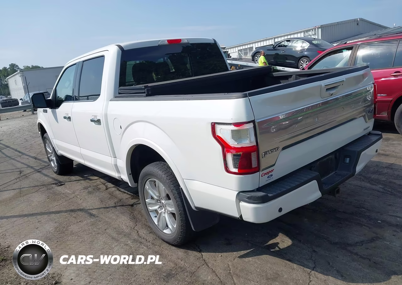 2020 Ford F-150 Platinum VIN:1FTEW1E47LFB98616 - 3