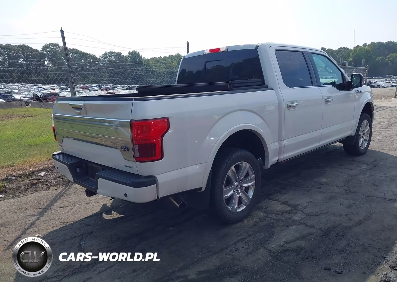 2020 Ford F-150 Platinum VIN:1FTEW1E47LFB98616 - 4