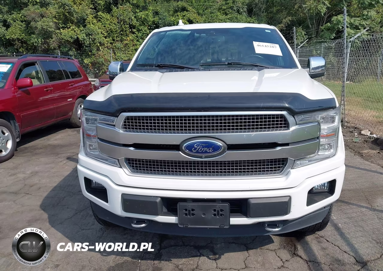 2020 Ford F-150 Platinum VIN:1FTEW1E47LFB98616 - 6