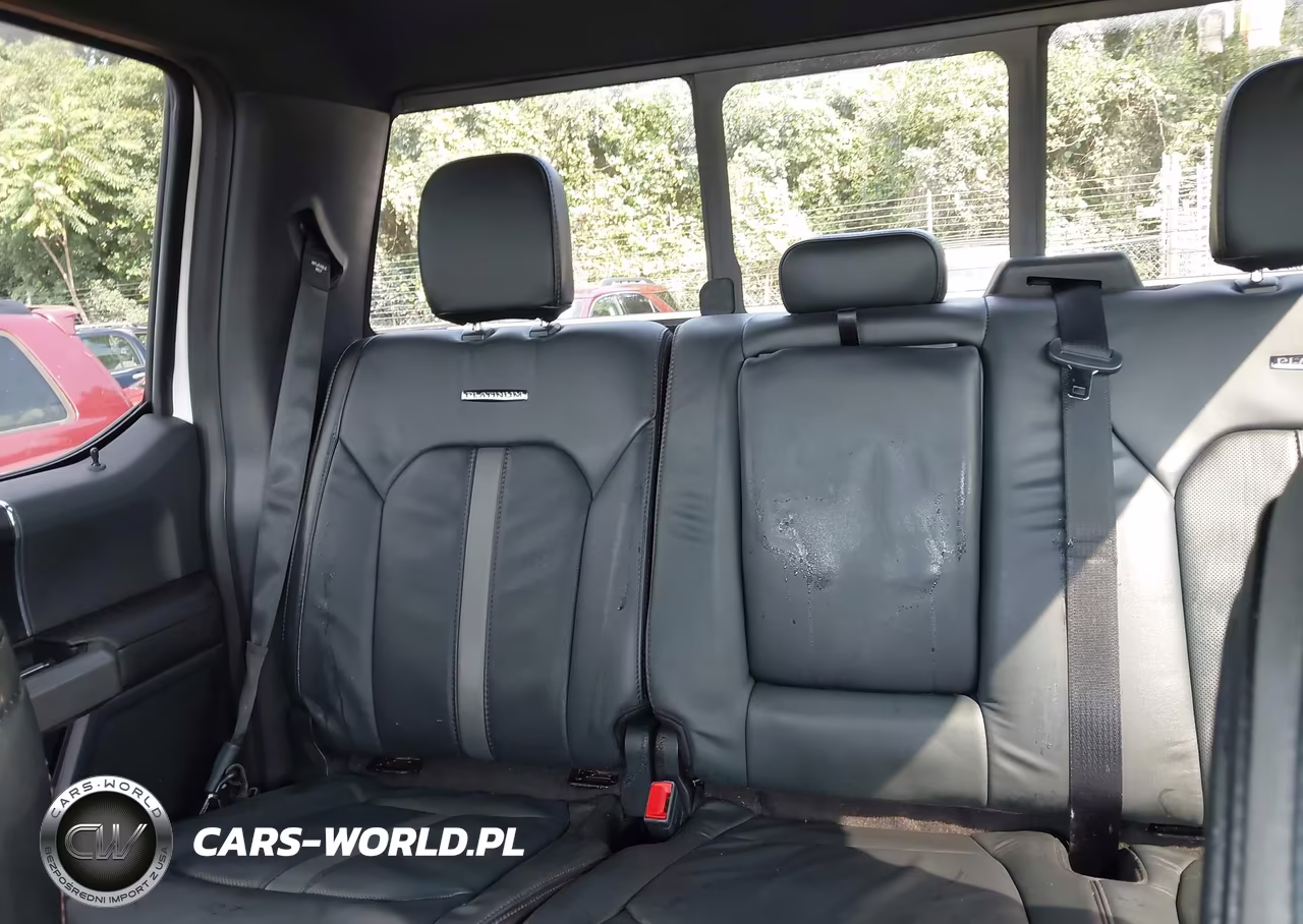 2020 Ford F-150 Platinum VIN:1FTEW1E47LFB98616 - 8