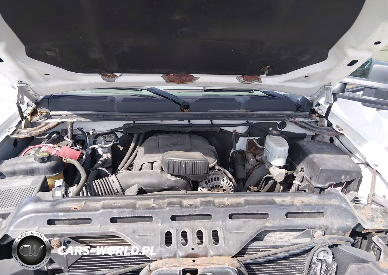 2011 Chevrolet Silverado 2500Hd Work Truck VIN:1GC2KVCG6BZ450288 - 10