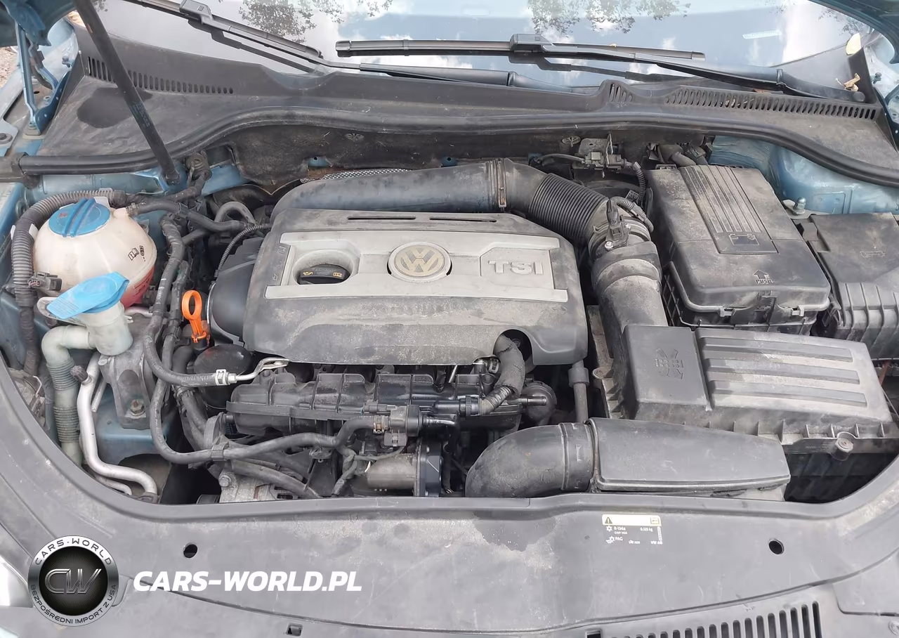2009 Volkswagen Eos Komfort VIN:WVWBA71F99V018580 - 10