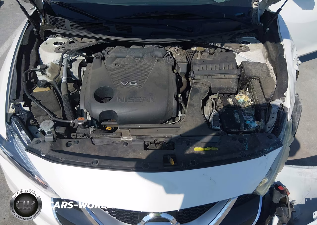 2016 Nissan Maxima 3.5 Platinum VIN:1N4AA6AP8GC399383 - 10