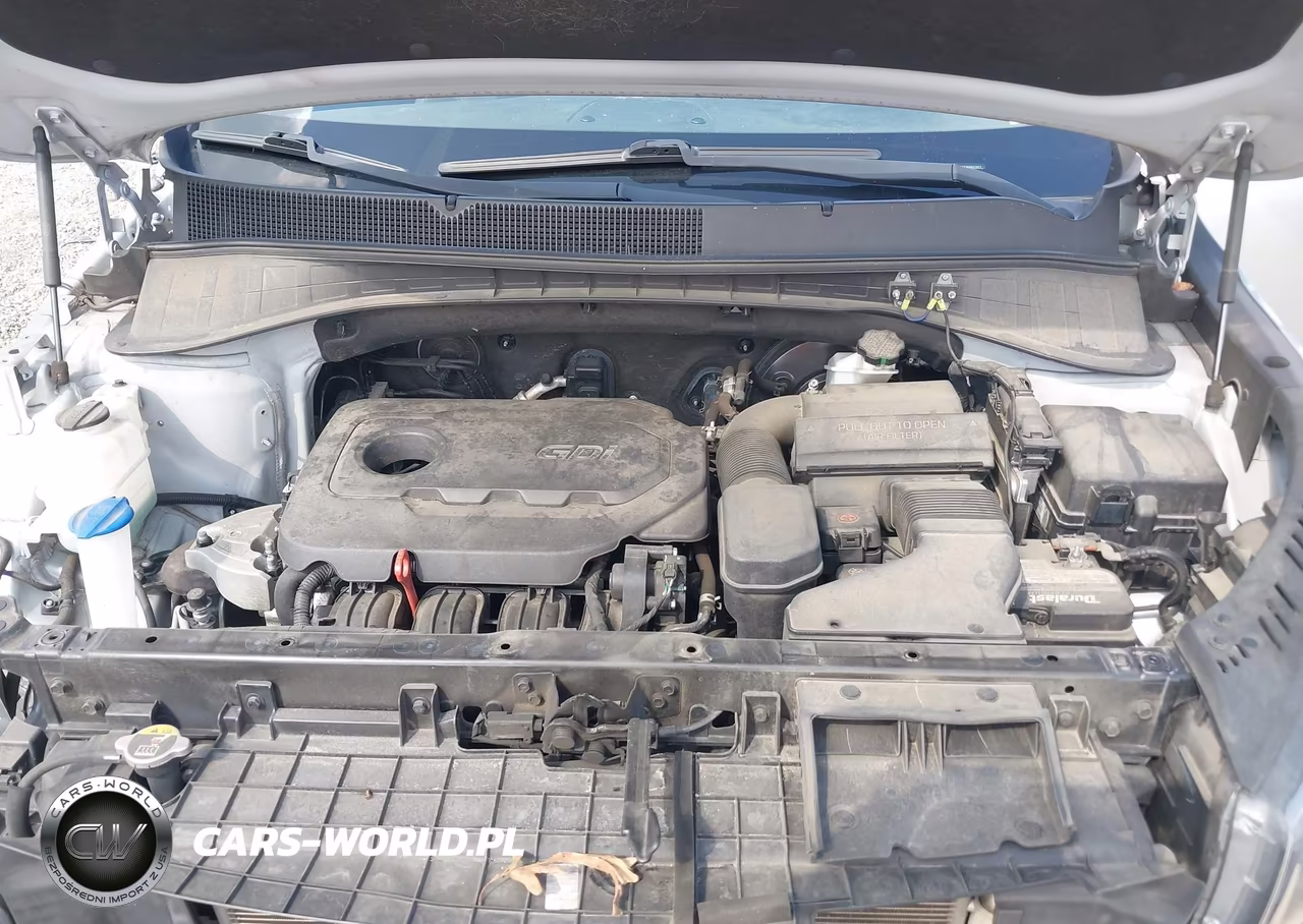 2019 Kia Sorento 2.4L L VIN:5XYPG4A35KG457877 - 10