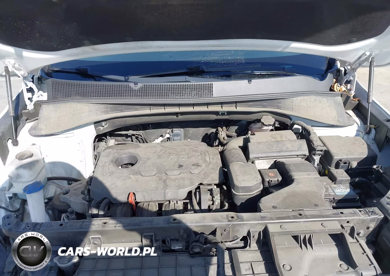 2019 Kia Sorento 2.4L Lx VIN:5XYPG4A33KG526050 - 10