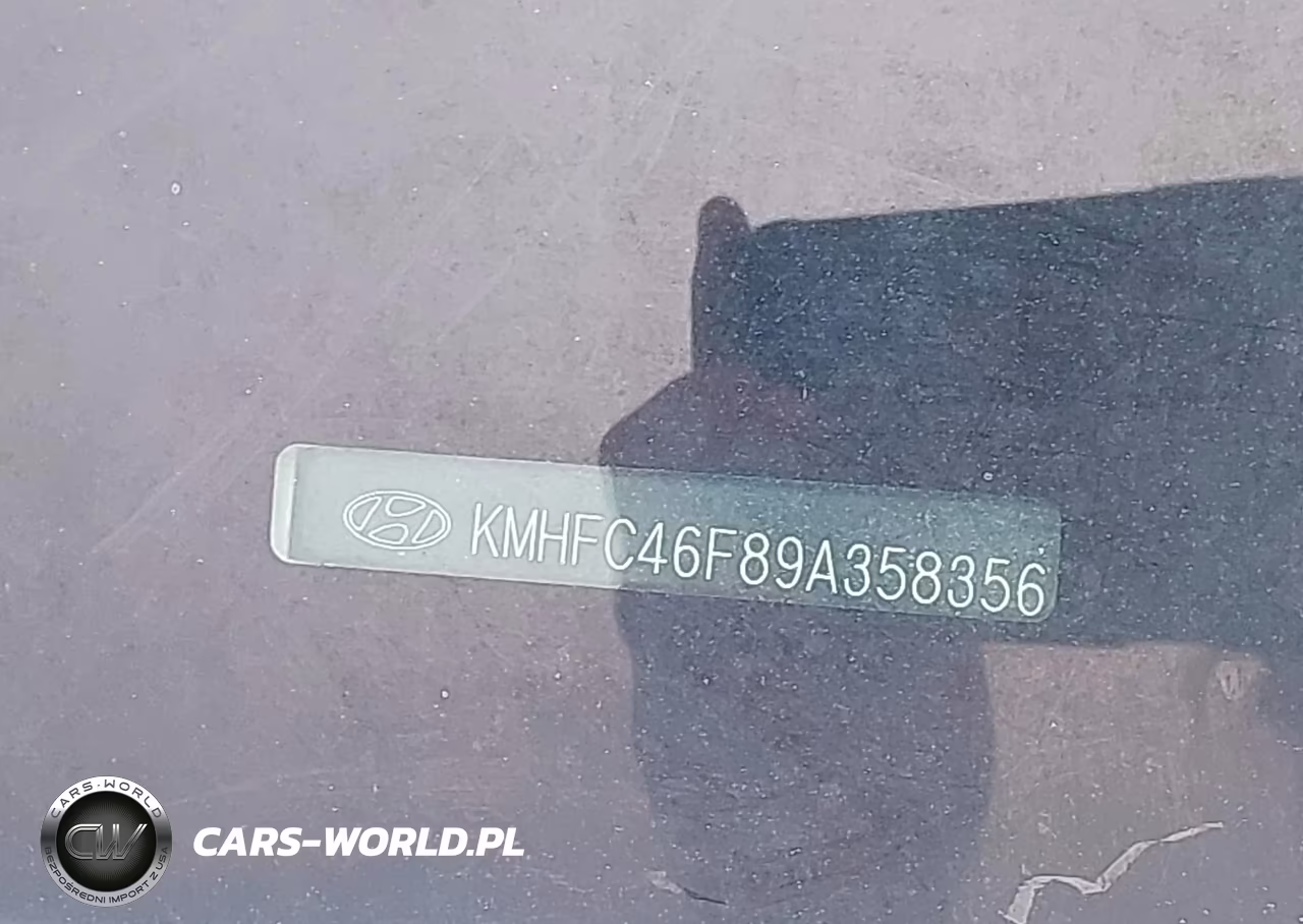 2009 Hyundai Azera Limited VIN:KMHFC46F89A358356 - 9
