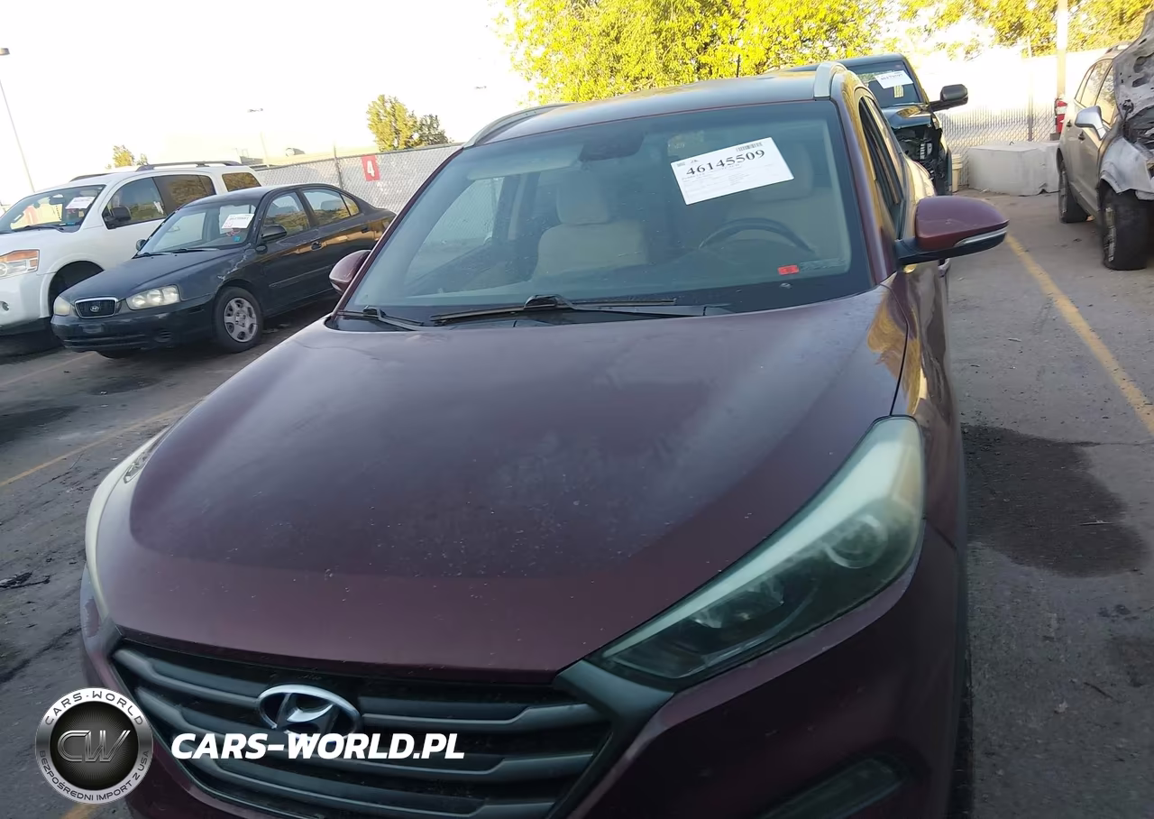2016 Hyundai Tucson Sport VIN:KM8J33A25GU074526 - 12