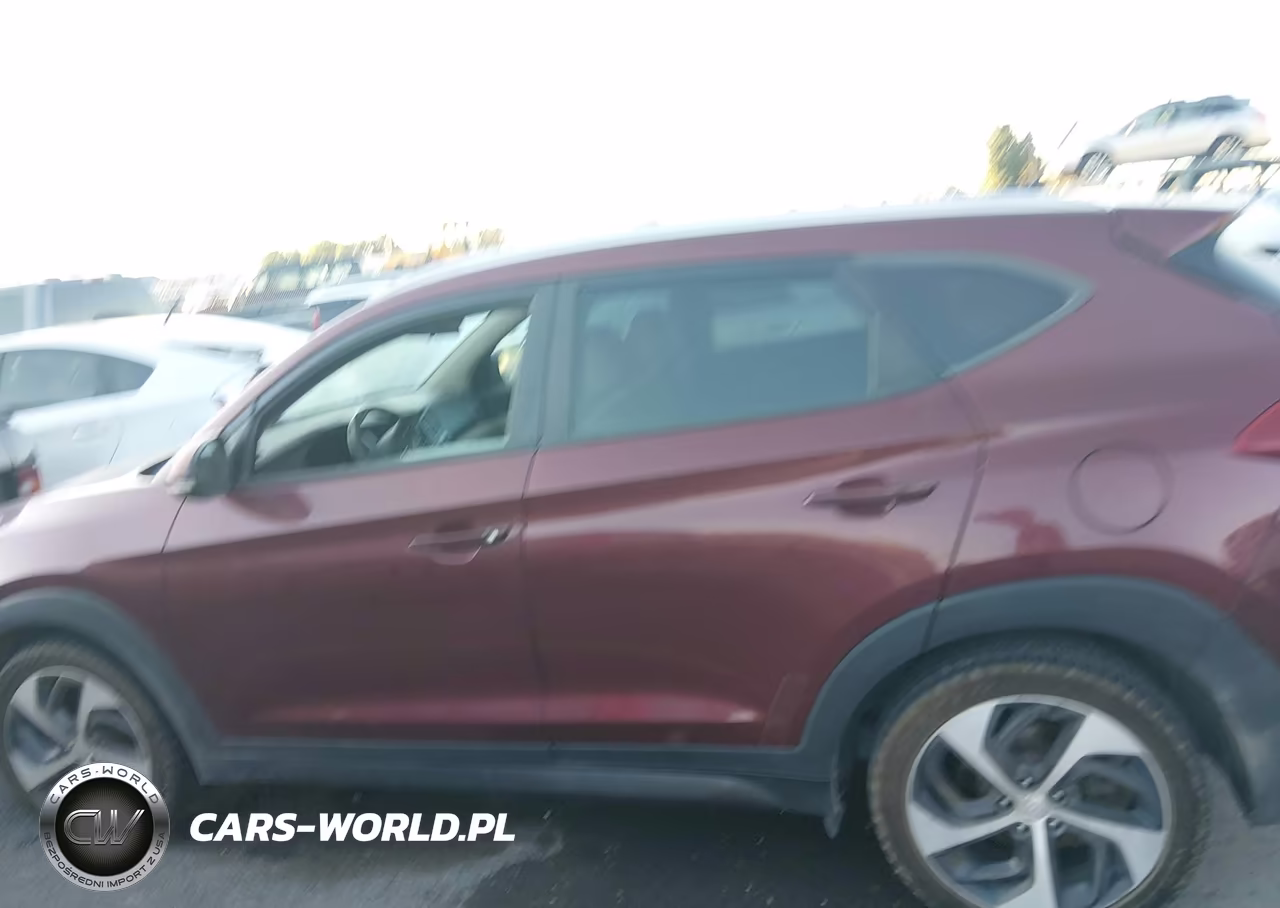 2016 Hyundai Tucson Sport VIN:KM8J33A25GU074526 - 14