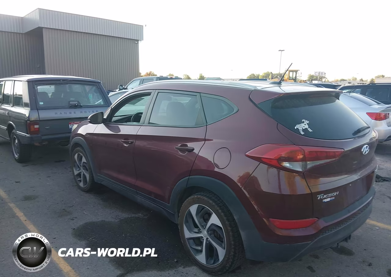 2016 Hyundai Tucson Sport VIN:KM8J33A25GU074526 - 3