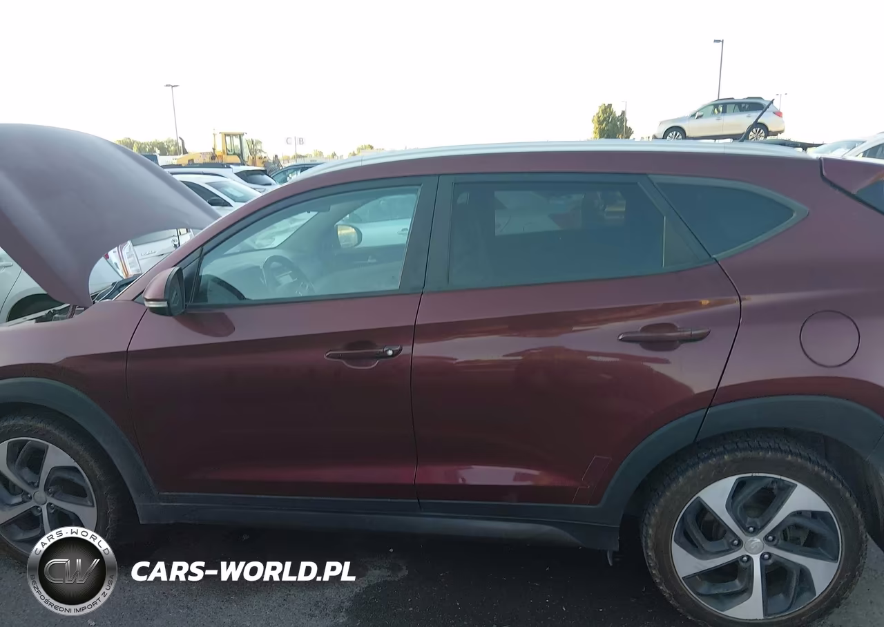 2016 Hyundai Tucson Sport VIN:KM8J33A25GU074526 - 6