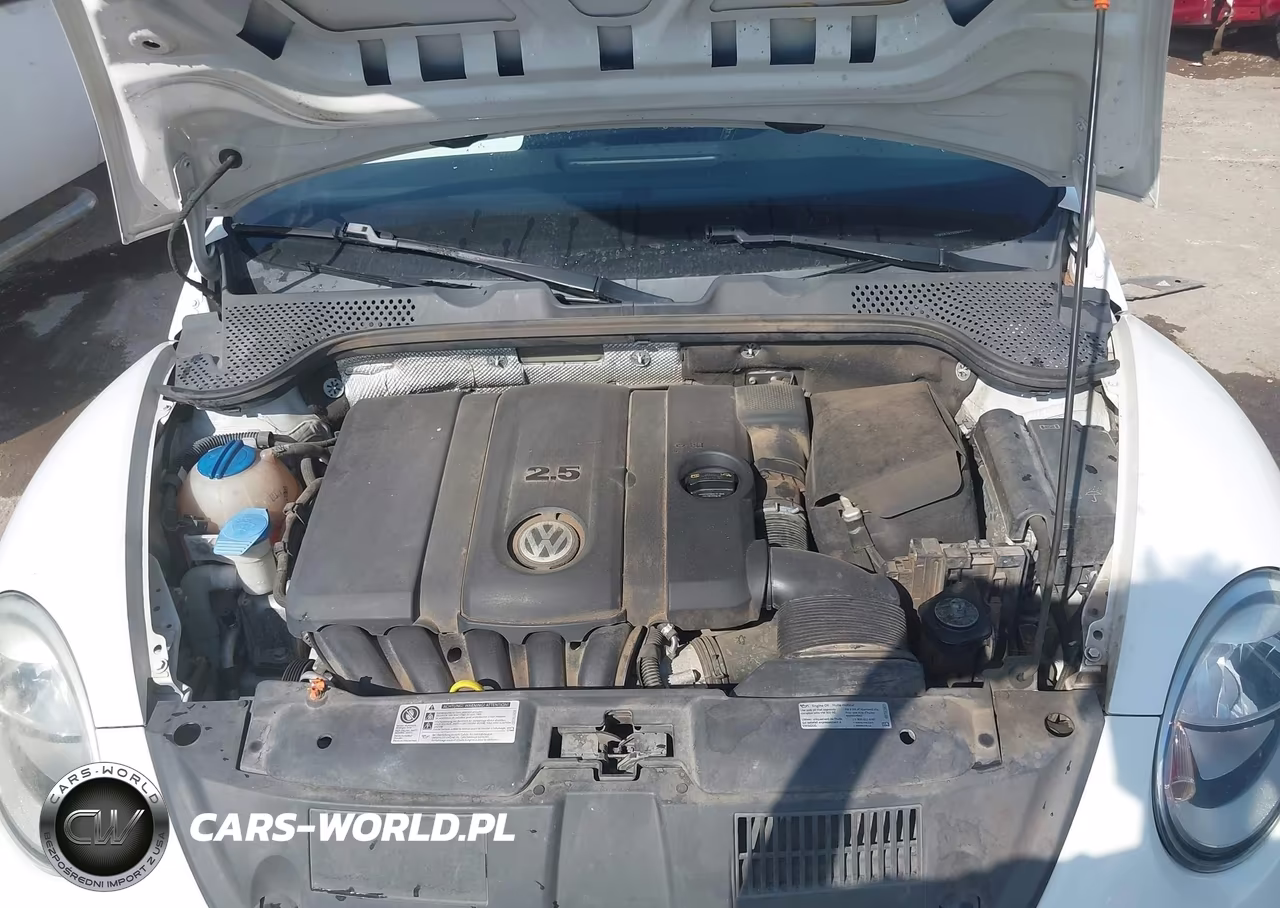2013 Volkswagen Beetle 2.5L VIN:3VW5X7AT0DM831940 - 10