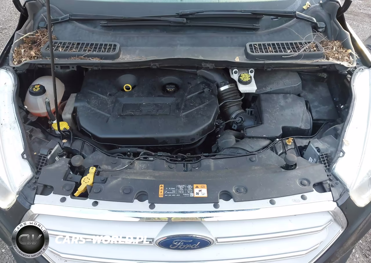 2019 Ford Escape Titanium VIN:1FMCU9J90KUB61474 - 10