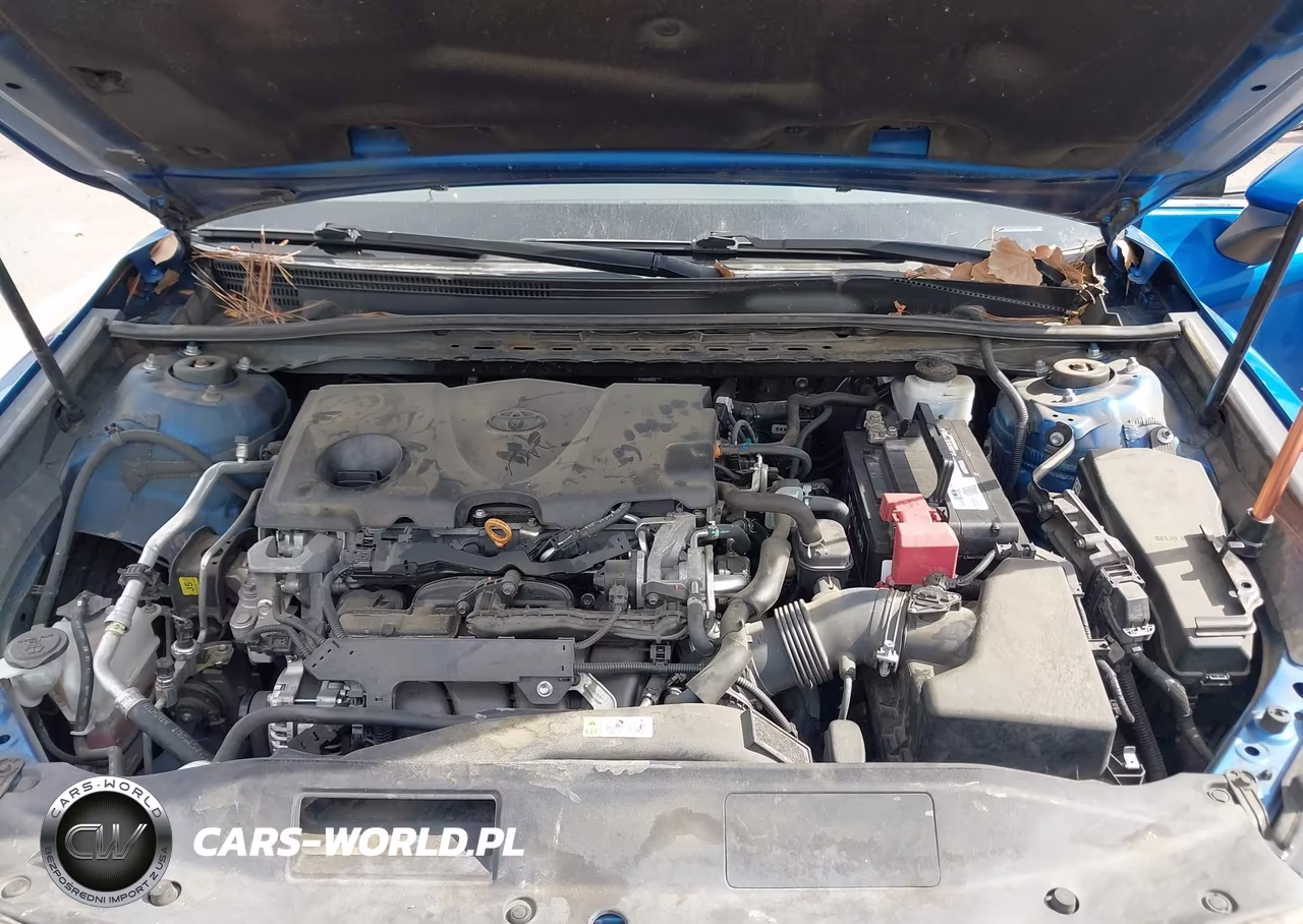 2019 Toyota Camry Xse VIN:4T1B61HK0KU299693 - 10
