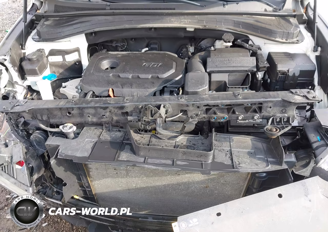 2020 Hyundai Santa Fe Se VIN:5NMS2CAD7LH230404 - 10