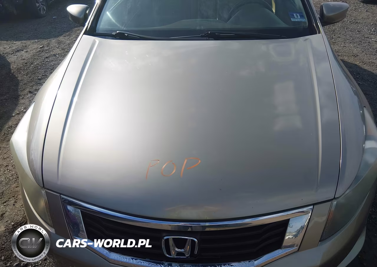 2009 Honda Accord 2.4 Lx-P VIN:1HGCP26419A112832 - 10