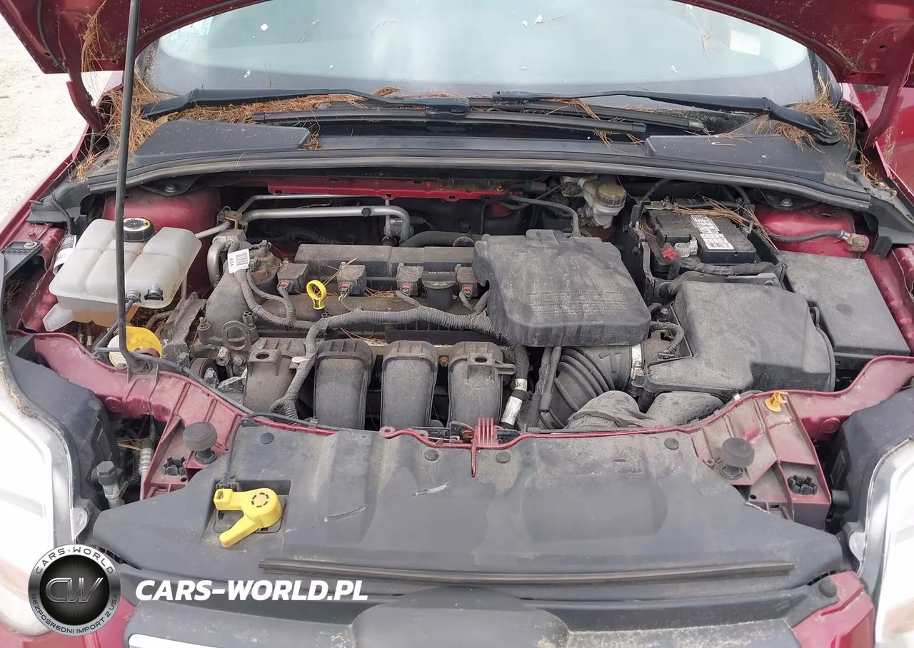 2014 Ford Focus Se VIN:1FADP3K21EL318721 - 10