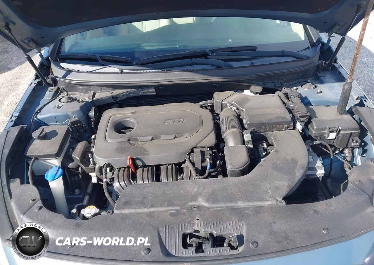 2017 Hyundai Sonata Sport VIN:5NPE34AF6HH505529 - 10