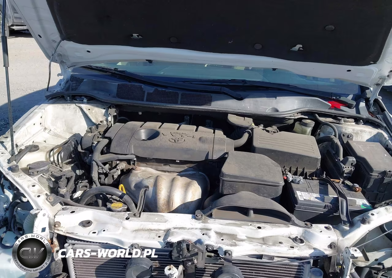 2010 Toyota Venza VIN:4T3ZA3BB3AU030062 - 10