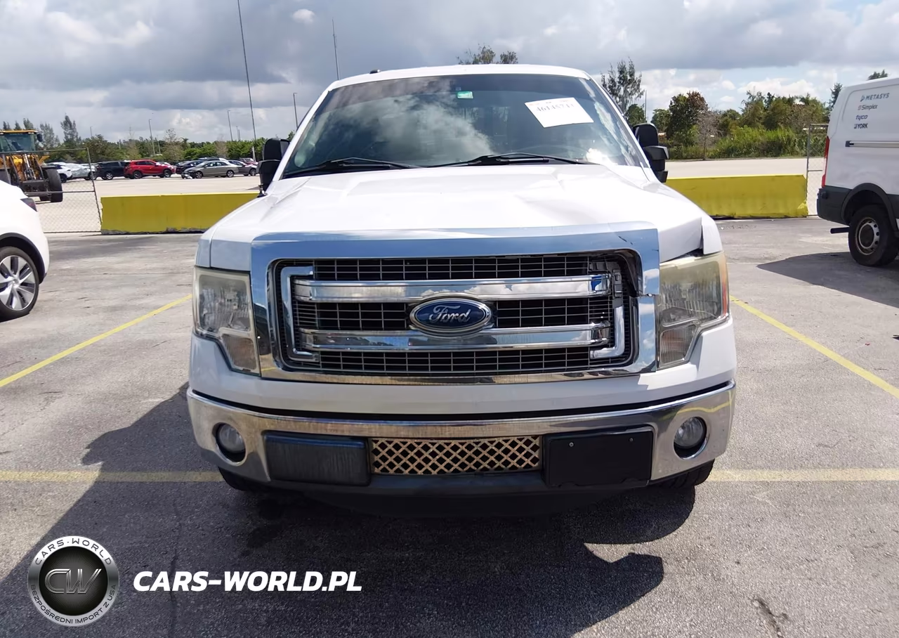 2013 Ford F-150 Xlt VIN:1FTFX1CT3DFA27424 - 12