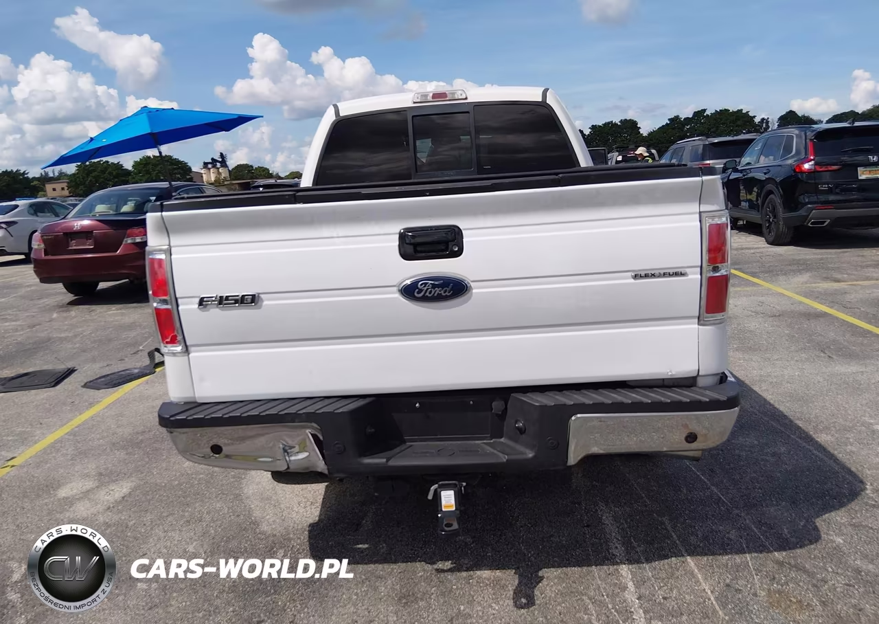 2013 Ford F-150 Xlt VIN:1FTFX1CT3DFA27424 - 16
