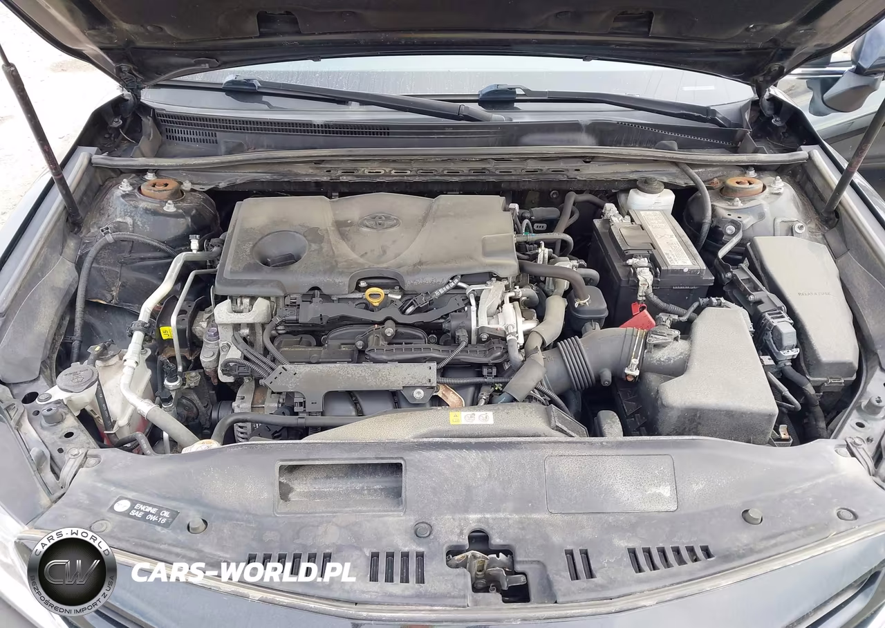 2019 Toyota Camry Se VIN:4T1B11HK9KU798930 - 10