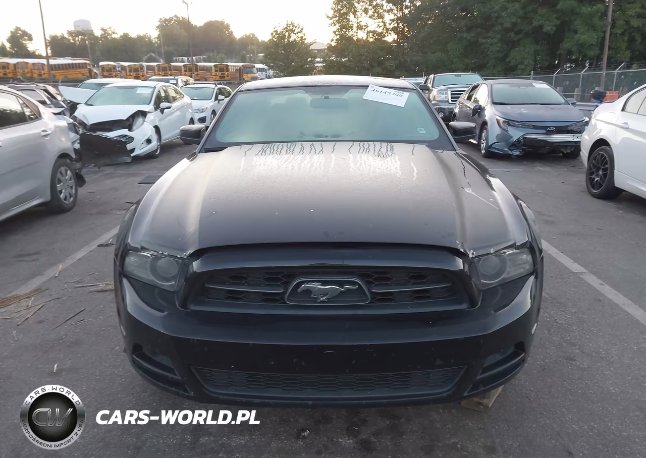 2014 Ford Mustang V6 Premium VIN:1ZVBP8AM1E5260631 - 12